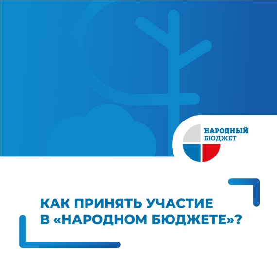 «Народный бюджет».